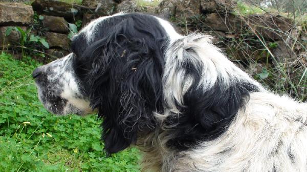 Jack Foto 3